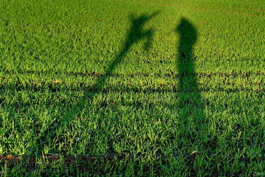 Bildbeispiel „Freie Fotografie” | „Ohne Titel”