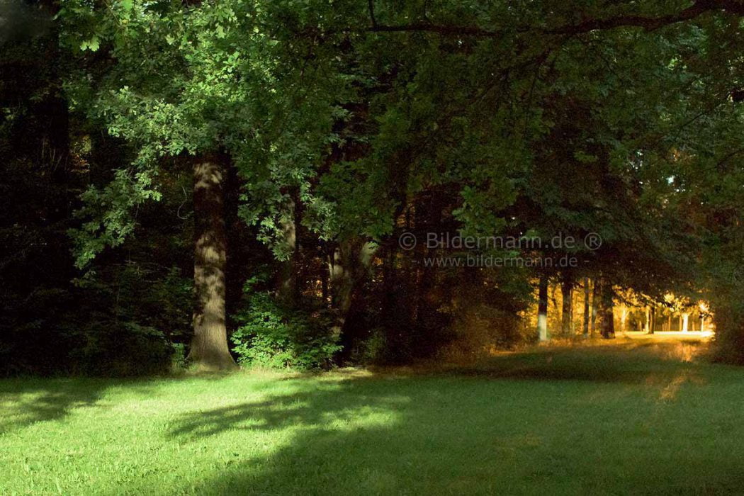 Vollmondaufnahme gegen Mitternacht (Langzeitbelichtung bei Vollmonschein und wolkenlosem Himmel am 20