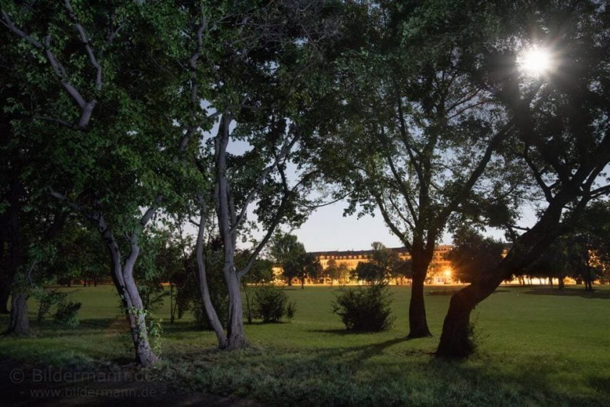 Die Aufnahme entstand in Langzeitbelichtung bei Vollmonschein und wolkenlosem Himmel am 08.08.2017 gegen 2:15 Uhr im Dresdner Alaunpark. Die Bäume im linken Bildbereich wurde mit einer aufsteckbaren LED-Fahrradlampe mit Akkus aufgehellt.
