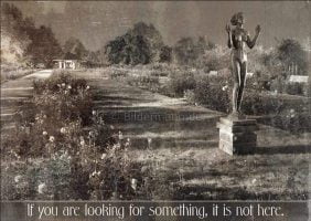 Vorderseite (Avers) der „alten” Postkarte mit einem Foto vom mitternächtlichen Rosengarten Dresden-Neustadt von Bildermann (gegenüber der oben gezeigten Version habe ich hier die Sättigung reduziert)