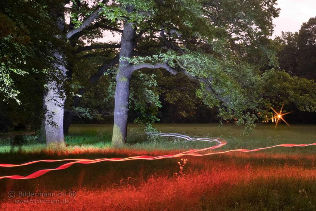 Fotoexperiment Parklandschaft im Vollmondlicht