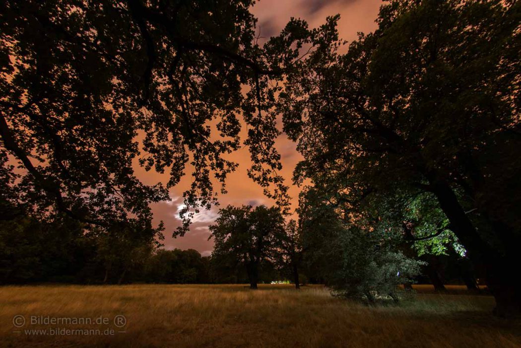 Fotoexperiment — 30 Sek. Langzeitbelichtung mit Handblitz im 'Großen Garten' Dresden