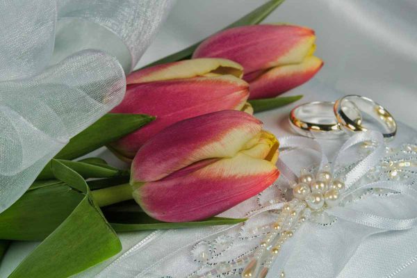 Hochzeitsfotograf Referenzfoto Nr 04