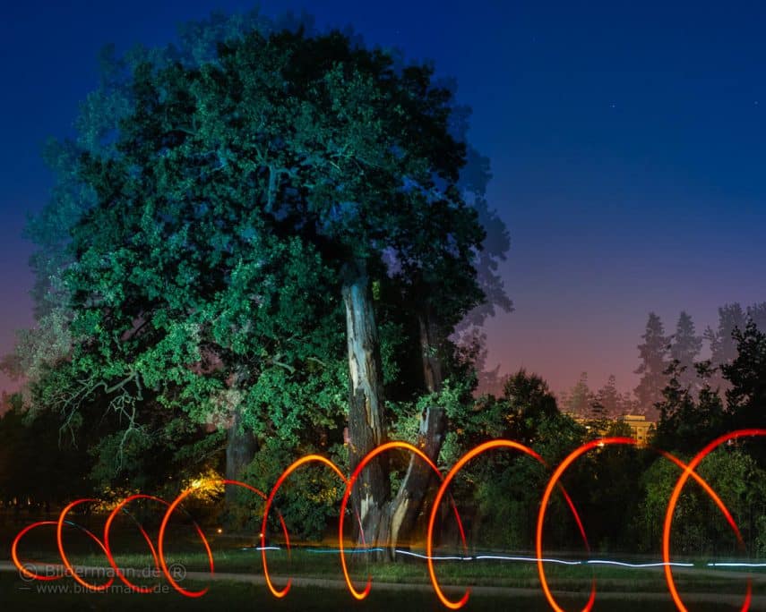 Beitragsfoto zum Foto und Zitat „Coronavirus”