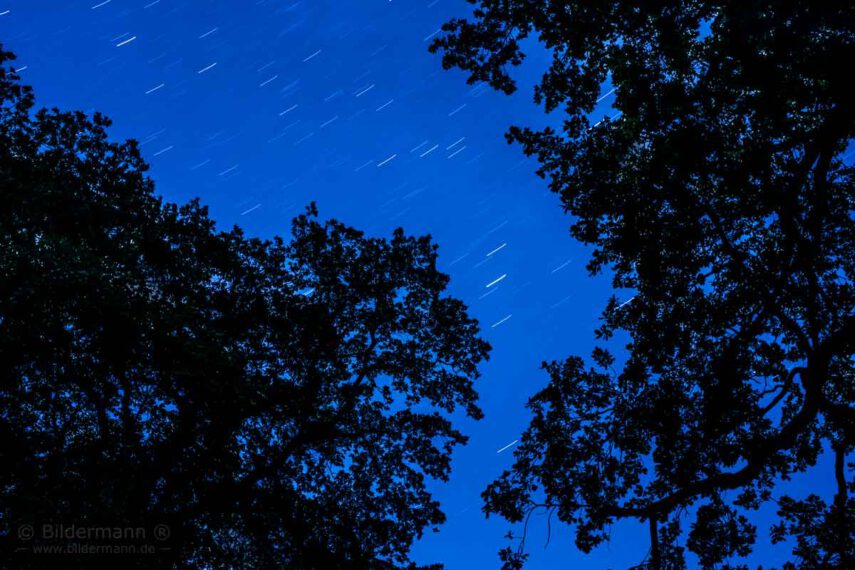 Foto des Monats Juli 2021 des Fotografen Bildermann (Dresden)